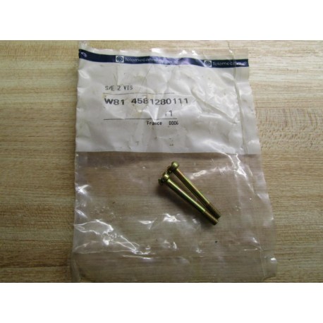 Telemecanique W81 4581280111 Screws 116155 (Pack of 2)