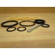 Crown 300-07-02-054 Seal Kit 101341