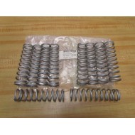 Worcestor 25SK39ACTUAT Spring Kit 12648