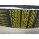 Goodyear 1280 8M 30 Belt 12808M30