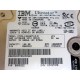 IBM 08K0322 68P Ultra320 SCSI Drive IC35L146UWDY10-0 - Used