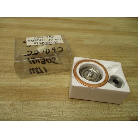 AMSCO 764080-001 Steam Trap Repair Kit P764080001