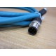 Belden 0985 806 1003M Lumberg Ethernet Cordset 900004059 - New No Box