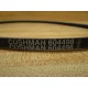 Cushman 604498 V-Belt (Pack of 2)
