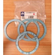 Mueller A-06262 Gasket A06262 (Pack of 4) - New No Box