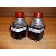 Allen Bradley 800T-FXP16A1 Illum. Button (Pack of 2) - Used