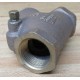 Legend Valve 105-304 Y-Check Valve 105304