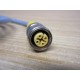 Turck RK 4.4T-2-RS 4.4T Cable U2445 - New No Box