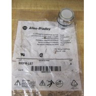 Allen Bradley 800FM-LE7 White Button 800FMLE7