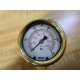 Wika 50390112 Pressure Gauge