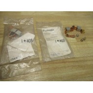 Furnas 75EE42 Contact Kit Series C (Pack of 2)