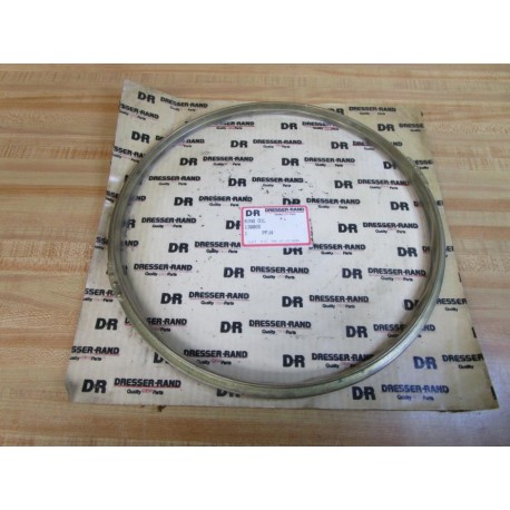 Dresser-Rand 130066 Dodge Oil Ring 1304