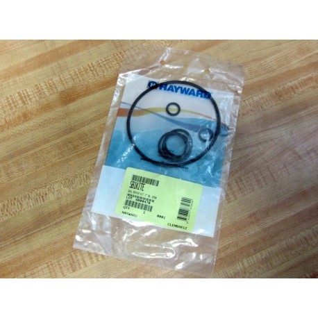 Hayward SB1KITE Seal Repair Kit