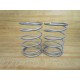 Kadant Johnson J2607S Spring (Pack of 2)