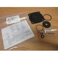 Pentair 424-RAV Diaphragm & Seal Kit 1070094 - New No Box