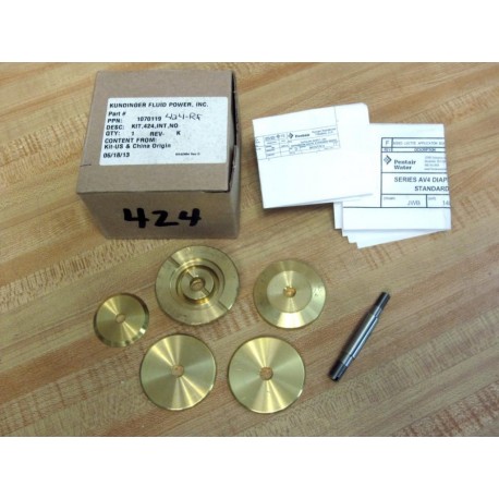 Pentair 1070119 Diaphragm Valve Repair Kit 424