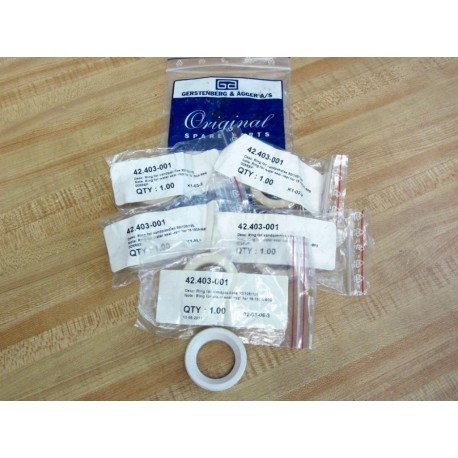 Gerstenberg & Agger 42.403-001 Water Seal Ring 42403001 (Pack of 6)