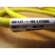 Turck RKG 4.4T-1-RSE 4.4TS600 Cable U5317-111