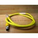 Turck RKG 4.4T-1-RSE 4.4TS600 Cable U5317-111