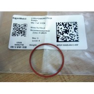 Exxon Mobil BPEP-MAIN-64-C-05F Foxboro 1.5" Pump O-Ring P0120