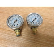 ENFM RV132A0K324KG Gauge (Pack of 2) - Used