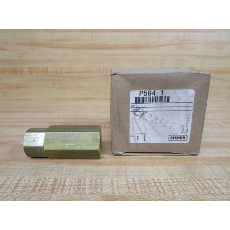 Fisher P594-1 Filter Assembly P5941