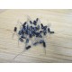 NTE 1µF 50V Capacitor (Pack of 40) - New No Box