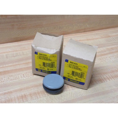 Square D 9001K51 Closing Plate-Round 79390 (Pack of 2)