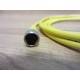 Balluff C49-ANE-00-VY-020M Cable  C49ANE00VY020M