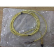 Allen Bradley 889B-F4AC-2 QD Cordset