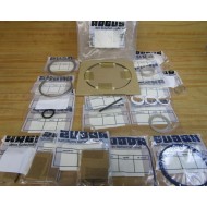 Argus 53-17019-15300 Valve Repair Kit CL300