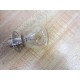 General Electric GE 1325 Miniature Lamp Bulbs (Pack of 2)