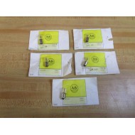 Allen Bradley 609-N9 Neon Lamp NE51H (Pack of 5)