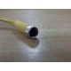 Turck PKG-3M-6 Cable PKG3M6 - New No Box