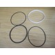 DeZurik 1281691 C6 Repair Kit-KGV
