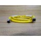 Turck 171K367G12 Cable Assembly W3926