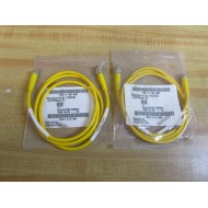 Turck 171K367G06 Cable Assembly W3920 (Pack of 2)