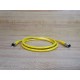 Turck 171K367G06 Cable Assembly W3920 (Pack of 2)