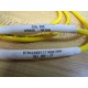 Turck 171K367G06 Cable Assembly W3920 (Pack of 2)