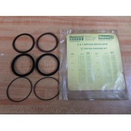 Rexnord A-2.50 Hanna Piston Packing Kit D-34958