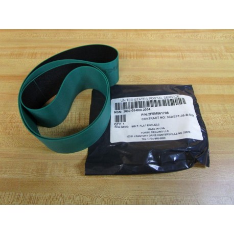 Forbo Siegling 2FSM561708 Endless Belt