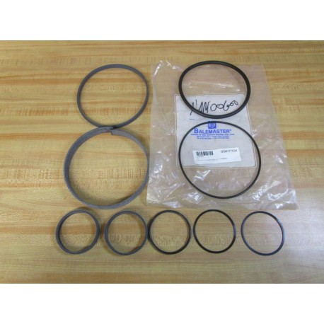 Balemaster HAM00600 Seal Kit 177534