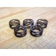 CMS18-H2-S17 Wave Spring CMS18H2S17 - New No Box
