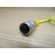 Turck RK4.4T-2-PSG 4M Cordset U0875-88 - New No Box