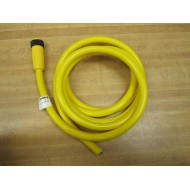 Lumberg RK 120M-6303M Cable Assembly RK120M6303M - New No Box