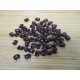NTO 751J3 Capacitor (Pack of 31) - New No Box