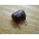 NTO 751J3 Capacitor (Pack of 31) - New No Box