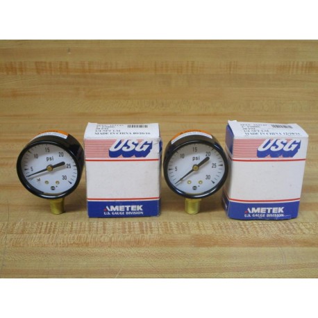 Ametek 163149 USG Pressure Gauge (Pack of 2)