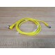 Turck WK4.4T-2-PSG 4M Double Ended Cordset U-13509 - New No Box