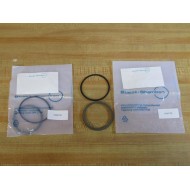 Busak + Shamban WEZH120536T46N Seal Kit 5445728 (Pack of 2)